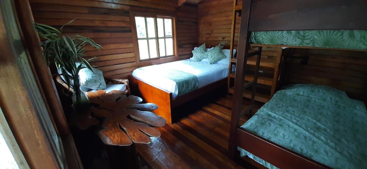 Guest House Great Hostels Amazon Puyo Bagian luar foto