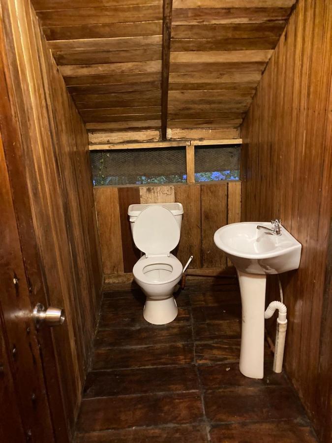 Guest House Great Hostels Amazon Puyo Bagian luar foto