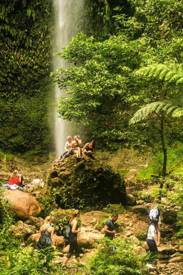 Guest House Great Hostels Amazon Puyo Bagian luar foto